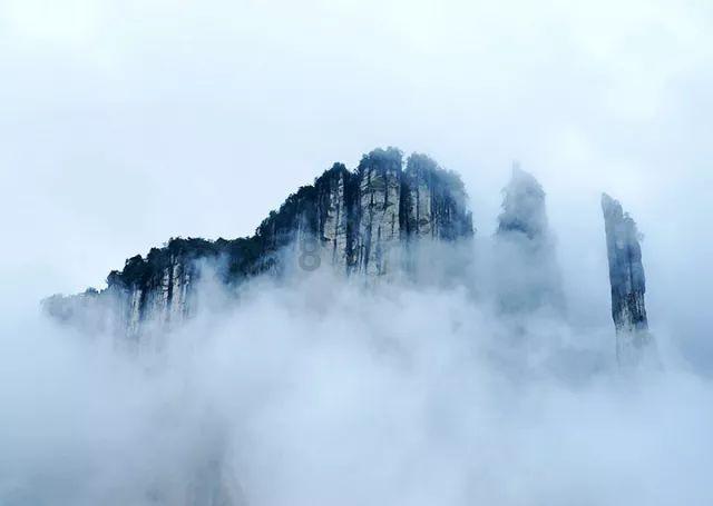 福原爱带娃游迪士尼,烈日下紧抱儿子提满礼物,你怎么看?有问必答平台-解决你的疑惑